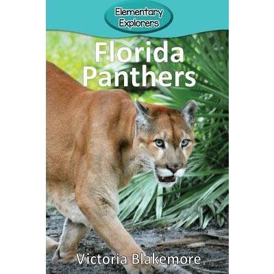 Fanatics Florida Panthers #5 Aaron Ekblad Breakaway Home Replica Jersey