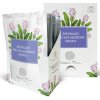 Nobilis Tilia Zpevňující pro-kolagenová maska 6 x 25 g