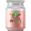 Air Wick sviečka 480g Pink pepper&Cardamom