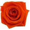 Ina DARK Orange - oranžová (3x stabilizovaná 