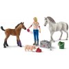 Schleich 42486 Návšteva lekára u kobyly a žriebätka