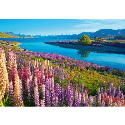 CASTORLAND Jezero Tekapo Nový Zéland 500 dielov