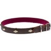 COBBYS PET Obojok z pravej kože hnedý, podšitý a zdobený zlatými kosoštvorčekmi 20mm/40cm