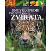 Zvířata - Michael Leach