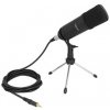 DELOCK, Mikrofon mit XLR 3 Pin Klinkenst 66640