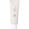 BEAUTY OF JOSEON Sun Ochranný opaľovací krém s probiotikami SPF50+ 50 ml