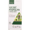 Medica Herbs Koreň čajovníka 550 mg - 60 kapsúl