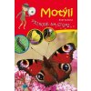 Motýli