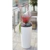 Lamela Vysoké kvetináče Lilia 300mm 57cm biely