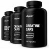 Vilgain Creatine Creapure 360 kapsúl