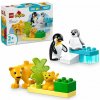 LEGO® DUPLO® Divoké zvieratá: Tučniaky a levy 10442