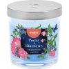 Vonná sviečka Bolsius Floral Fusion, pivonka a čučoriedka, 80/72 mm, v skle