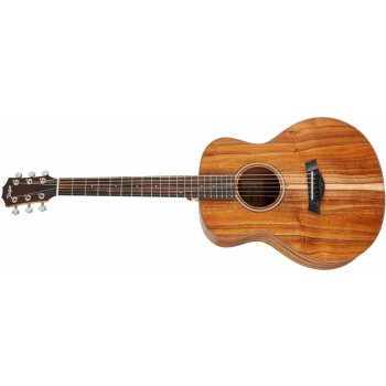 Taylor GS Mini-e