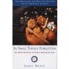 In Small Things Forgotten (James Deetz)(Brožovaná)