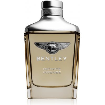 Bentley Infinite Intense parfumovaná voda pre mužov 100 ml