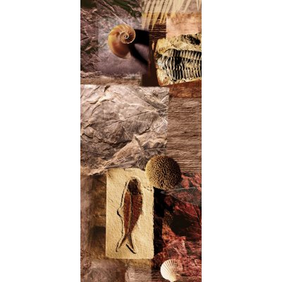 Preinterier Fototapeta - DV0001 - Mozaika skamenelín Vlies - 91cm x 211cm