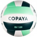 Copaya BVBS100