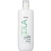 Indola Repair Regenerative Conditioner 1000 ml