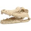 Repti Planet Krokodília lebka 13,8 cm