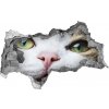 Diera 3D fototapeta nálepka Zelené mačacie oči 95x73 cm