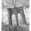 Dimex Fototapeta MS-3-5510-SK Brooklynsky most 225 x 250 cm