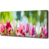 Foto obraz na plátne Tulipány 100x50 cm