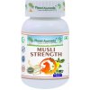 Planet Ayurveda Musli Strenght - libido, vitalita, hormonálne zdravie