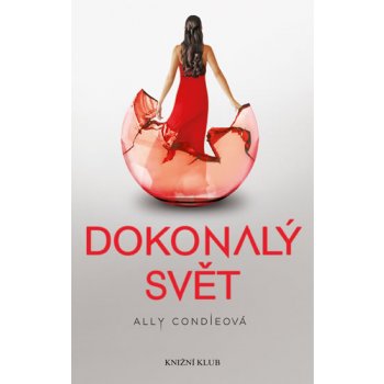 Matched 3: Dokonalý svět - Ally Condieová