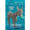 Lucinka a kouzelný oslík - Anne Booth, Sophy Williams (ilustrátor)