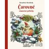 Čarovné vianočné príbehy - Bernadetta Borodziuk, Marcin Minor, Marcin Minor (ilustrátor)
