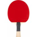 Butterfly TIMO BOLL SG33