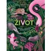 Život - Jennifer N. R. Smith