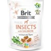 Funkčné pamlsky Brit Care Dog Insects with Salmon & Thyme 200 g