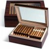 GASTRO humidor na cigary Egoist 25 Glass - Wood