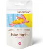 Cannastra H4CBD Kvetina Solárne Pútnik (biely Vdova) 30%, 1 g - 100 g 3 gramy