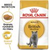 ROYAL CANIN British Shorthair Adult 2kg granule pre britské krátkosrsté mačky