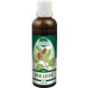 Naděje - Podhorná Nádej - Podhorná Buk lesná tinktúra z púčikov 50 ml