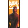 Komar Vliesová fototapeta Spider-Man Comic 100 x 250 cm