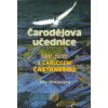 Čarodějova učednice - Amy Wallaceová