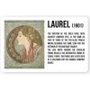 Magnetka Mucha: Laurel