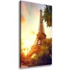 Vertikálny foto obraz na plátne Eiffelová veža Paríž 50x100 cm