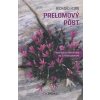 Prelomový pôst - Fascinujúce stretnutia so Svätým písmom