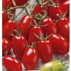 Skleníkové paradajky Mandat F1 WegAna D13 20 kusov