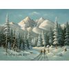 Obraz Vysoké Tatry Lomnický štít, VBart PREVEDENIE: OBRAZ na plátne blindrám, ROZMER v cm/TYP OKRAJA: 90x60