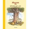 Medvídek Pú - Kouzelný les - kolektiv