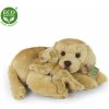 Eco-Friendly Rappa labrador 27 cm