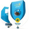 Royal Queen seeds Tatanka Pure CBD neobsahují THC 3 ks