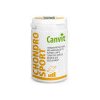 Canvit Chondro Sport pro psy 230g