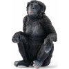 SCHLEICH Wild Life® 14875 Šimpanz Bonobo - samice
