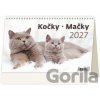Kočky / Mačky 2027 - stolní kalendář - Helma